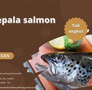 Kepala Salmon Dimasak Apa